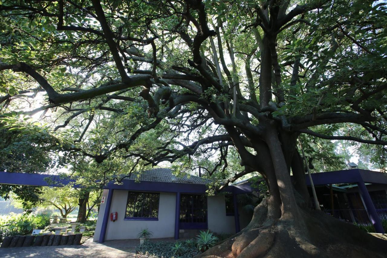 Big Tree Midrand Exterior foto