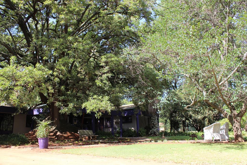 Big Tree Midrand Exterior foto